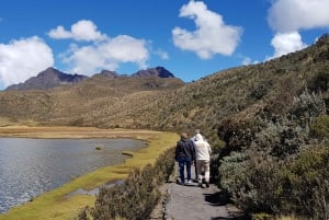 Parc du Cotopaxi et sources chaudes de Papallacta : Déjeuner inclus
