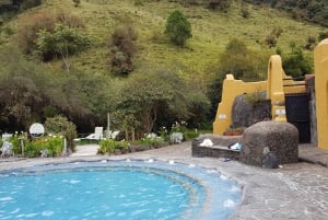 Parc du Cotopaxi et sources chaudes de Papallacta : Déjeuner inclus