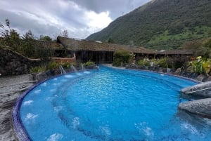 Cotopaxi Park och Papallacta Hot Springs: Lunch ingår
