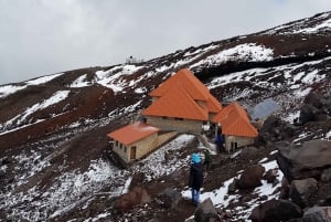 Cotopaxi Park och Papallacta Hot Springs: Lunch ingår