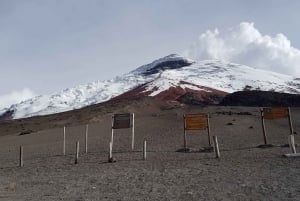 Cotopaxi Park och Papallacta Hot Springs: Lunch ingår
