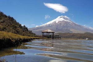 Cotopaxi Park och Papallacta Hot Springs: Lunch ingår