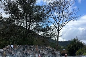 Cotopaxi Park och Papallacta Hot Springs: Lunch ingår