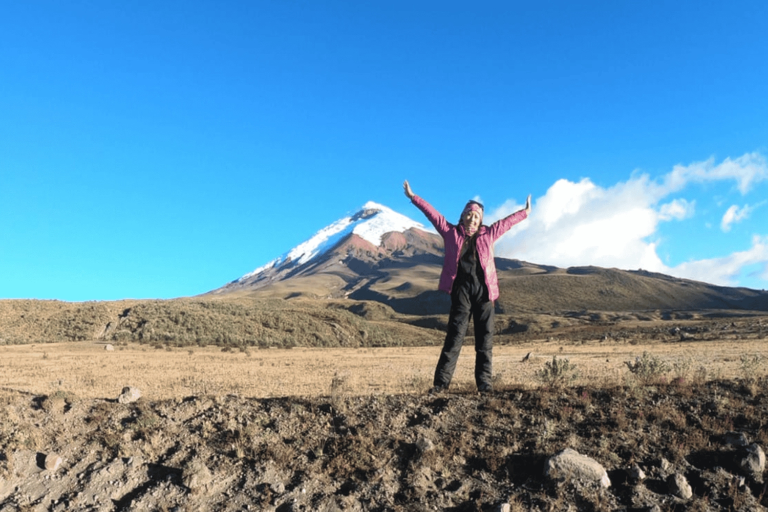 Tour di un giorno del Cotopaxi e del Quilotoa da Quito Vulcano-Cratere del Lago