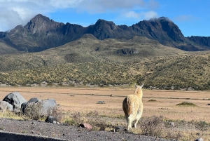 Tour di un giorno del Cotopaxi e del Quilotoa da Quito Vulcano-Cratere del Lago