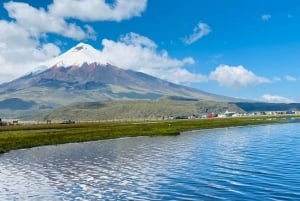 COTOPAXI QUILOTOA FULL DAY