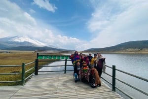 COTOPAXI QUILOTOA FULL DAY