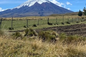 Cotopaxi & Quilotoa Lagune 2 Tage 1 Nacht