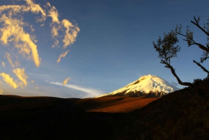 Cotopaxi: Andinska bergskedjornas skönhet
