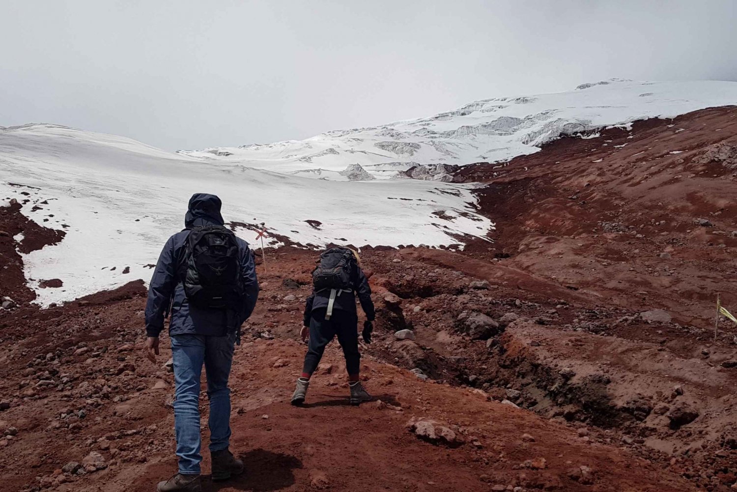 Cotopaxi Tour: Entrances and Lunch included
