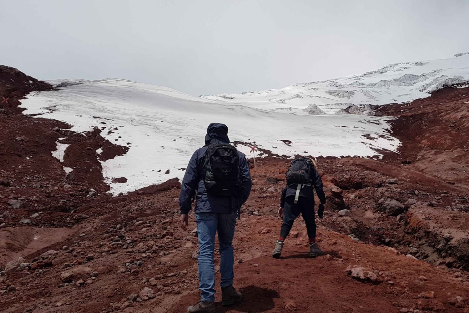 コトパクシ・ツアー（入場料と昼食付き）