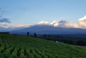 Cotopaxi National Park Tour - From Quito