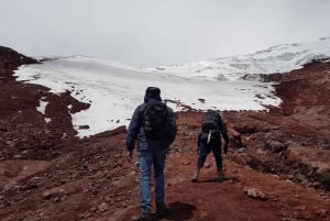 コトパクシ・ツアー（入場料と昼食付き）