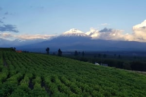 コトパクシ・ツアー（入場料と昼食付き）