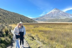 Vulkanen Cotopaxi og Papallacta Hot Springs - på én dag