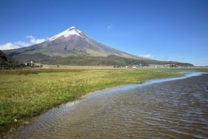 Vulkanen Cotopaxi og Papallacta Hot Springs - på én dag