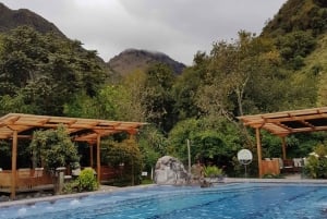 Vulkanen Cotopaxi och Papallacta Hot Springs - på en dag