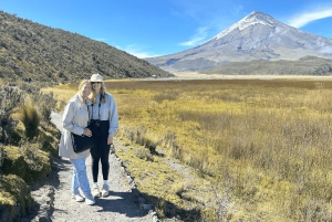 Volcan Cotopaxi et sources thermales de Papallacta - en une journée