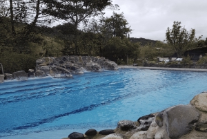 Volcan Cotopaxi et sources thermales de Papallacta - en une journée