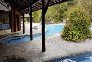 Volcan Cotopaxi et sources thermales de Papallacta - en une journée