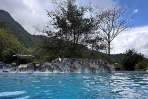 Volcan Cotopaxi et sources thermales de Papallacta - en une journée