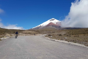 Cotopaxin tulivuori ja Quilotoa – sisältää liput/lounaan