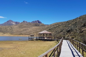 Cotopaxin tulivuori ja Quilotoa – sisältää liput/lounaan