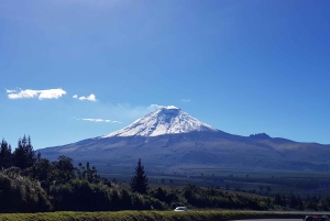 Cotopaxin tulivuori ja Quilotoa – sisältää liput/lounaan
