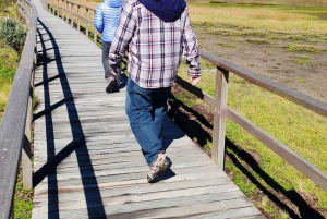 Cotopaxin tulivuori ja Quilotoa – sisältää liput/lounaan