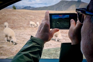 Cotopaxin tulivuori ja Quilotoa – sisältää liput/lounaan