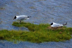 Passeio de bicicleta pelo vulcão Cotopaxi (caminhada opcional)