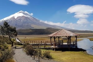 Depuis Quito : Visite du volcan Cotopaxi avec déjeuner - Entrées