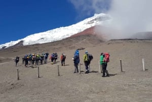 Fra Quito: Cotopaxi Volcano Tour inkluderer frokost - entréer