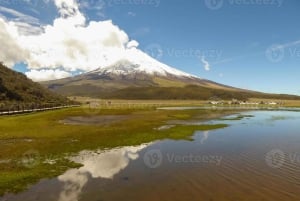 Cotopaxi-tulivuoren patikointipäiväretki