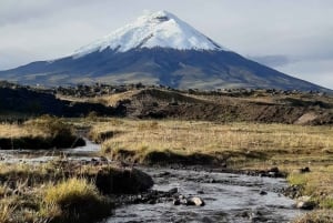 Cotopaxi Volcano -ratsastus ja -vaellus aloittelijoille