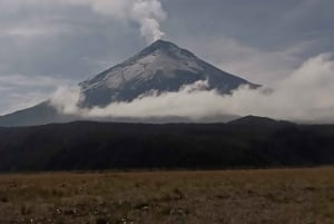 Cotopaxi Volcano -ratsastus ja -vaellus aloittelijoille