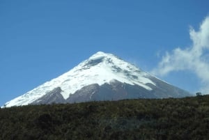 Cotopaxi Volcano -ratsastus ja -vaellus aloittelijoille