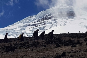 Volcán Cotopaxi: Excursión con ticket de entrada y almuerzo