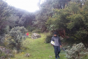 Cuenca: Dagstur til Cajas nasjonalpark og Dos Chorreras