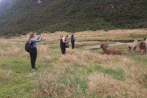 Cuenca: Dagstur til Cajas nasjonalpark og Dos Chorreras