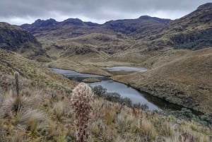 Cuenca, Ecuador: Dagstur til Cajas nasjonalpark