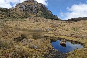 Cuenca, Ecuador: Cajas National Park Day Trip