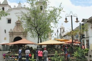 Halvdags byrundtur i Cuenca, Ecuador