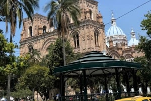 Cuenca: Half-Day City Tour including Panama Hat Factory