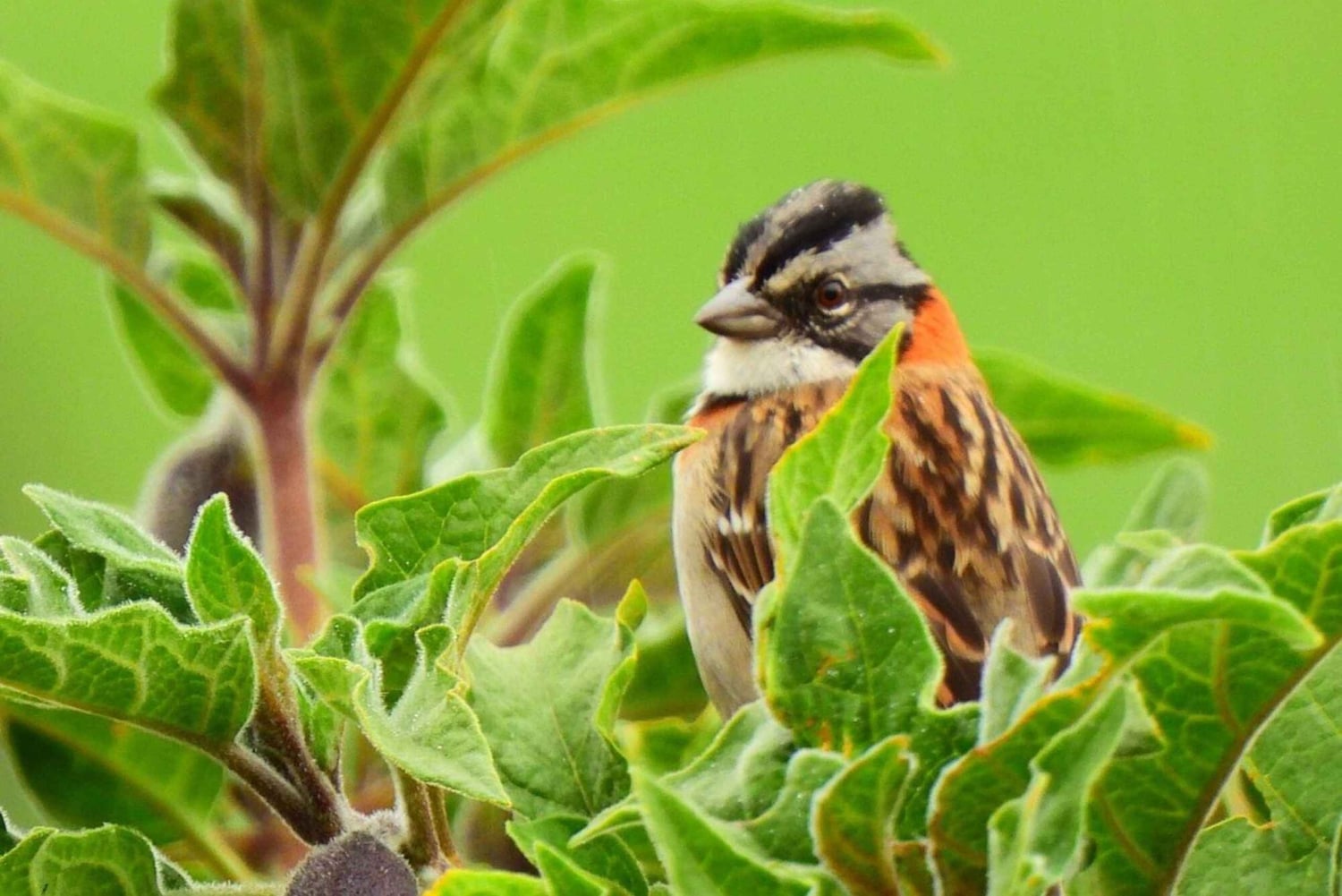 كوينكا: جولة شخصية باللغة الإنجليزية لمدة يومين مع مرشد محلي