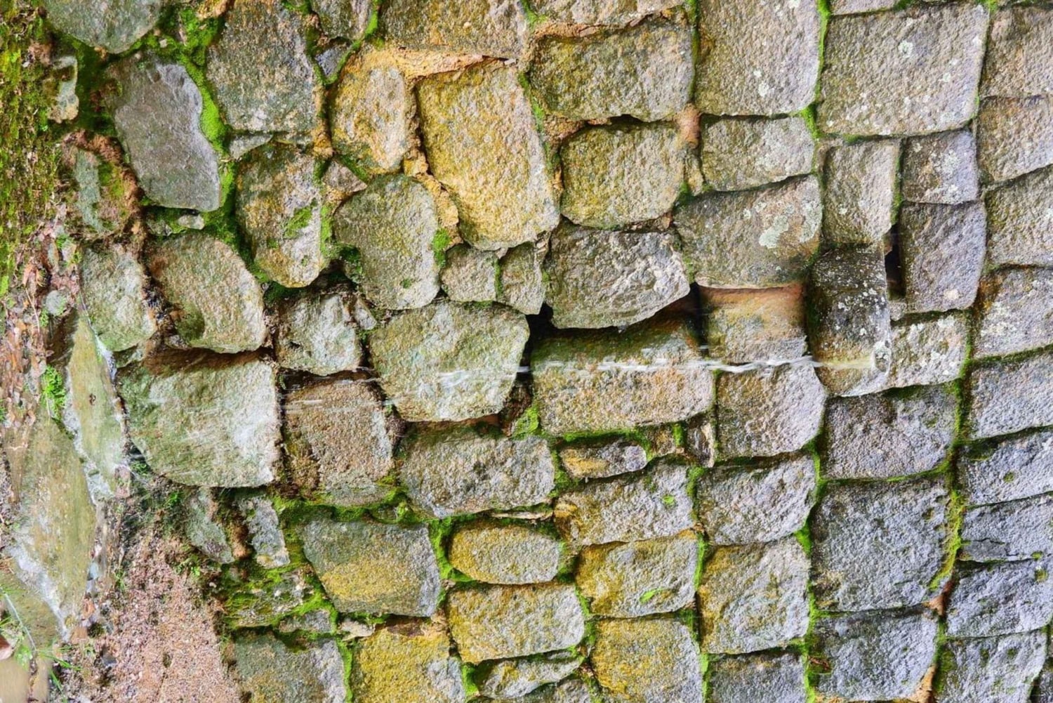 كوينكا: جولة شخصية باللغة الإنجليزية لمدة يومين مع مرشد محلي