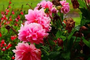 كوينكا: جولة شخصية باللغة الإنجليزية لمدة يومين مع مرشد محلي