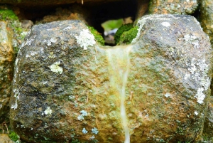 كوينكا: جولة شخصية باللغة الإنجليزية لمدة يومين مع مرشد محلي