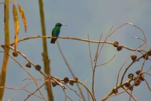 كوينكا: جولة شخصية باللغة الإنجليزية لمدة يومين مع مرشد محلي
