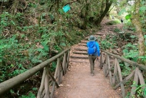 الطريق الدائري لبحيرة كويكوتشا الدائري